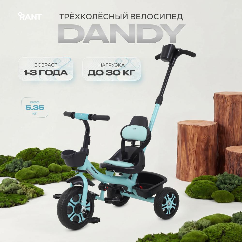 Детский трехколесный велосипед RANT basic RB252 "DANDY" (Mint)