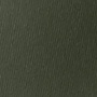 Carrello АВТОКРЕСЛО  ST-7  Genesis+  Beetle Green