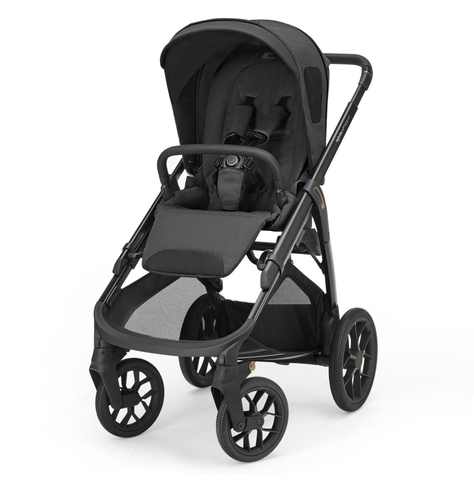 Коляска 3 в 1 Inglesina Aptica XT Darwin Recline Evo Magnet Grey
