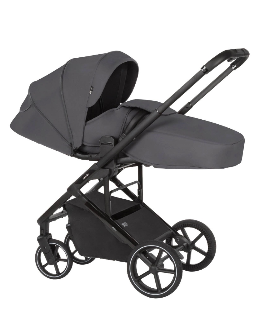 Carrello Коляска 2 В 1  Carrello  Alfa  CRL-6522  Fashion Grey