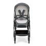 Коляска 3 в 1 Inglesina Electa Union Grey