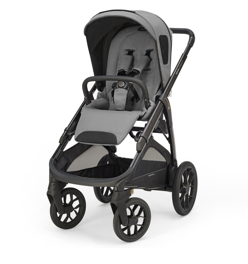 Прогулочная коляска Inglesina Aptica XT Canyon Grey