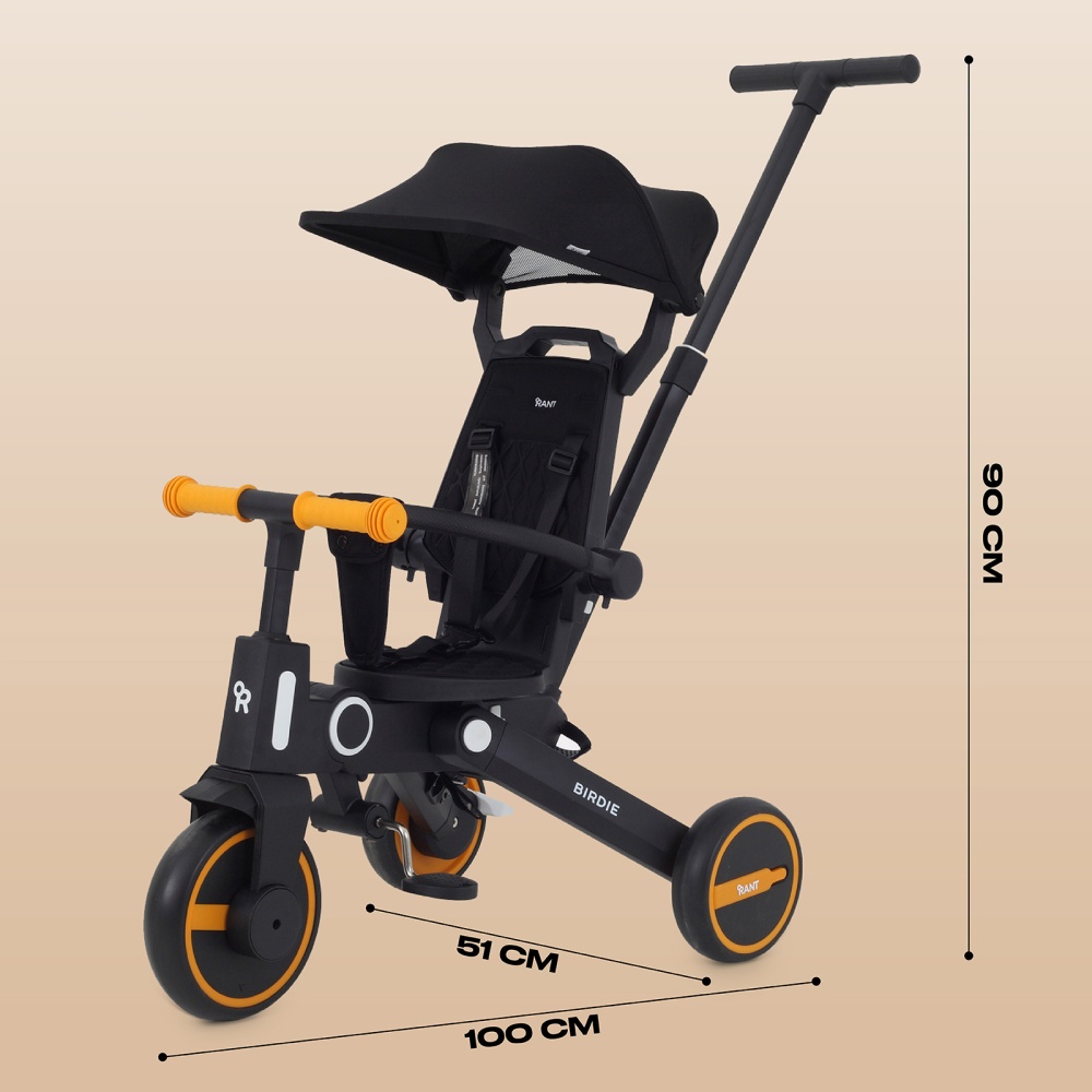 Детский трехколесный велосипед RANT RB202 "BIRDIE" (Graphite)
