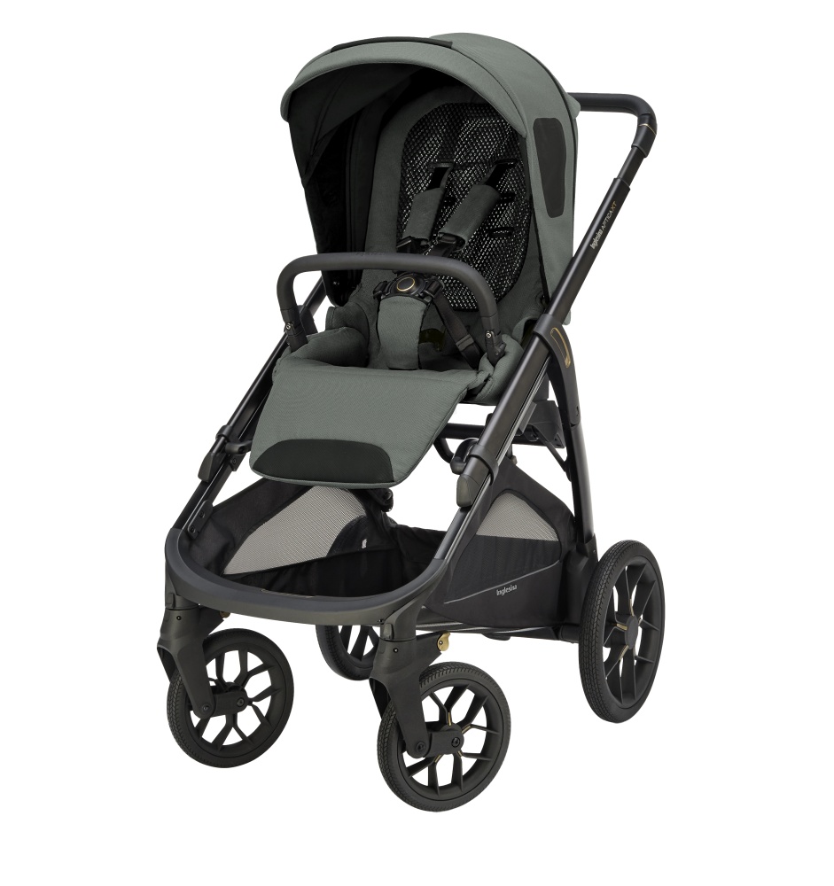 Прогулочная коляска Inglesina Aptica XT Taiga Green