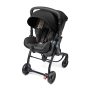 Коляска и Автокресло Doona X / Nitro Black
