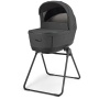 Коляска 3 в 1 Inglesina Aptica XT Darwin Recline Evo Magnet Grey