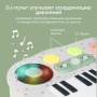 Happy Baby Игровой набор музыкальных инструментов PIANO STAR «ПЬЯНО СТАР», green