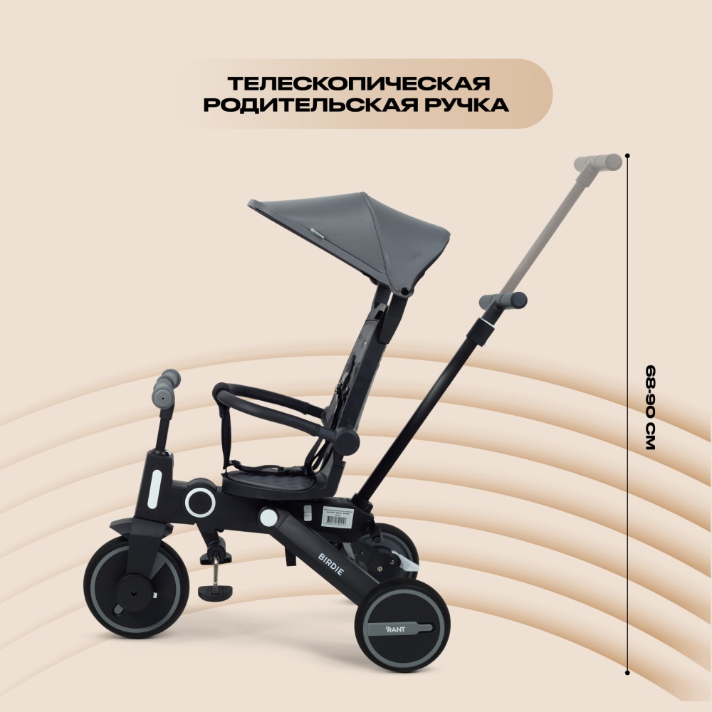 Детский трехколесный велосипед RANT RB202 "BIRDIE" (Grey)