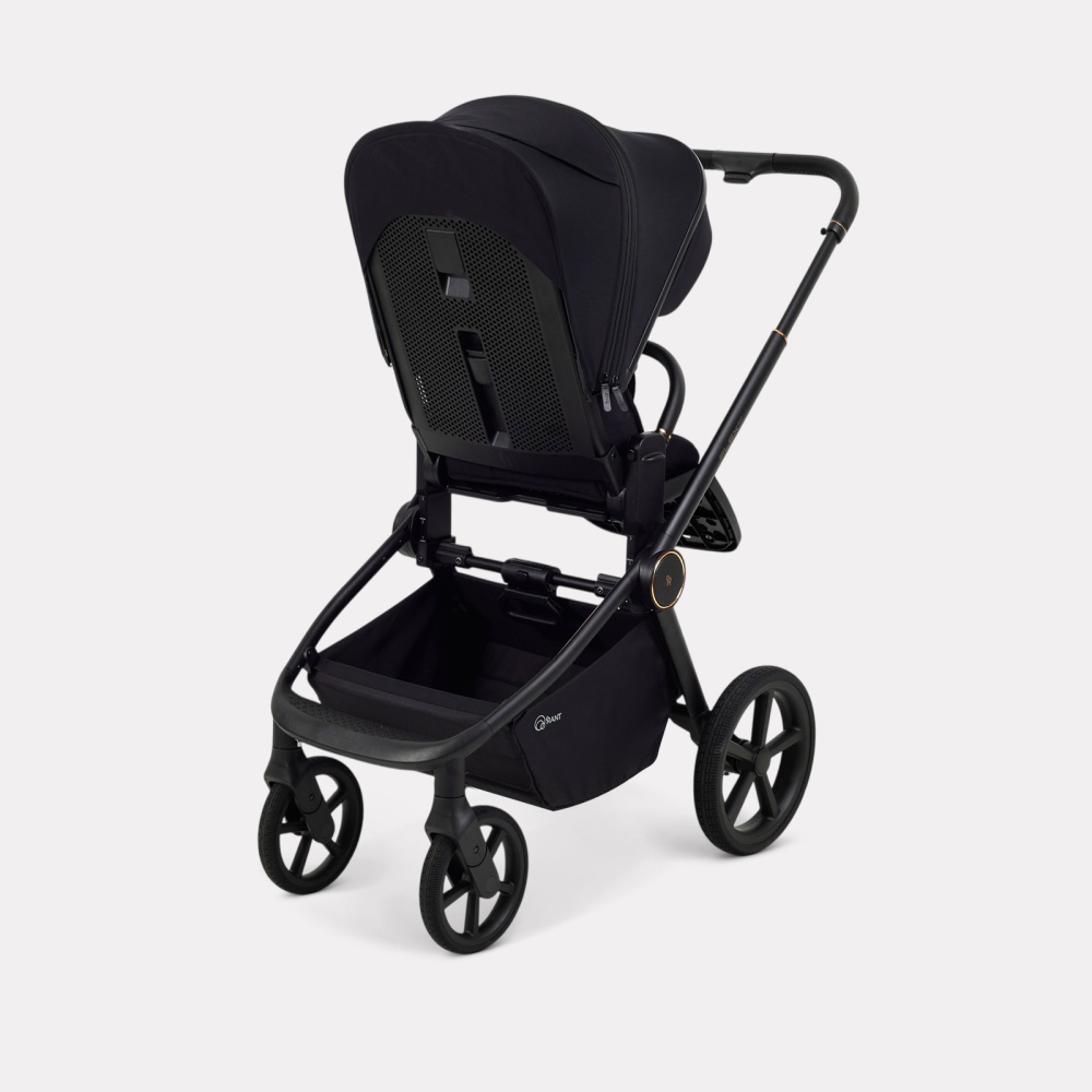 Коляска детская RANT "FLEX Therm" (2в1) RA112 Gold Black