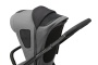 Прогулочная коляска Inglesina Aptica XT Canyon Grey
