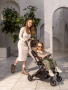 Коляска прогулочная AMAROBABY VOYAGER, коричневый