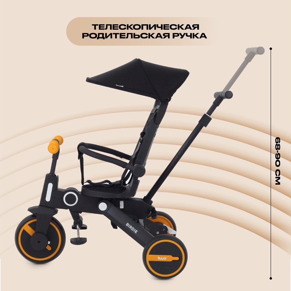 Детский трехколесный велосипед RANT RB202 "BIRDIE" (Graphite)