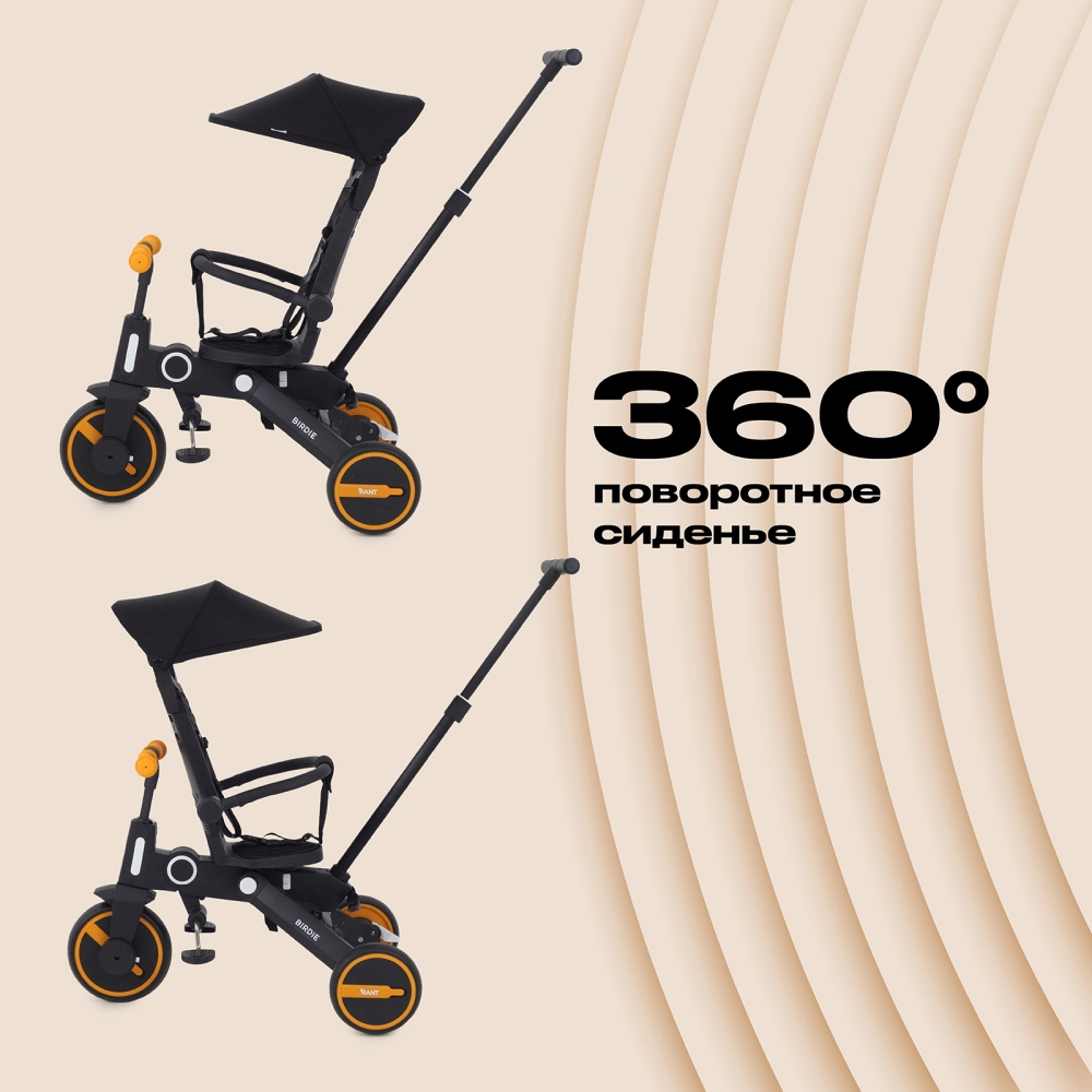 Детский трехколесный велосипед RANT RB202 "BIRDIE" (Graphite)