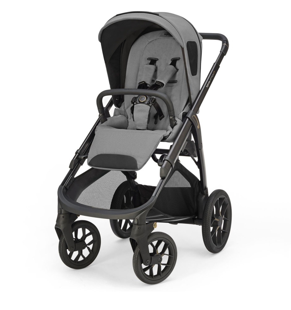 Коляска 3 в 1 Inglesina Aptica XT Darwin i-Size Canyon grey
