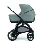 Коляска 3 в 1 Inglesina Aptica XT Darwin i-Size Canyon grey