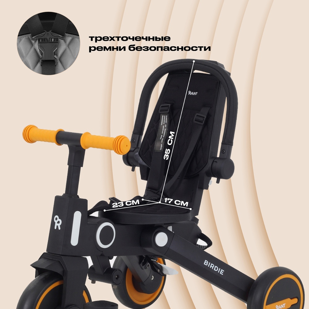 Детский трехколесный велосипед RANT RB202 "BIRDIE" (Graphite)